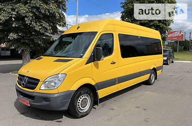 Микроавтобус Mercedes-Benz Sprinter 2010 в 
