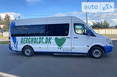 Микроавтобус Mercedes-Benz Sprinter 2009 в 