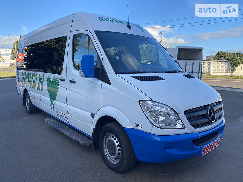 Микроавтобус Mercedes-Benz Sprinter 2009 в 
