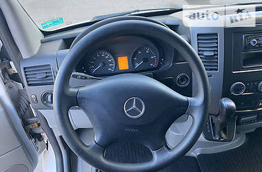 Микроавтобус Mercedes-Benz Sprinter 2009 в 