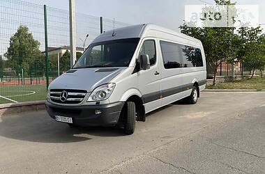 Микроавтобус Mercedes-Benz Sprinter 2011 в Пирятине