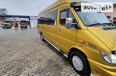 Мікроавтобус Mercedes-Benz Sprinter 2002 в Сокирянах