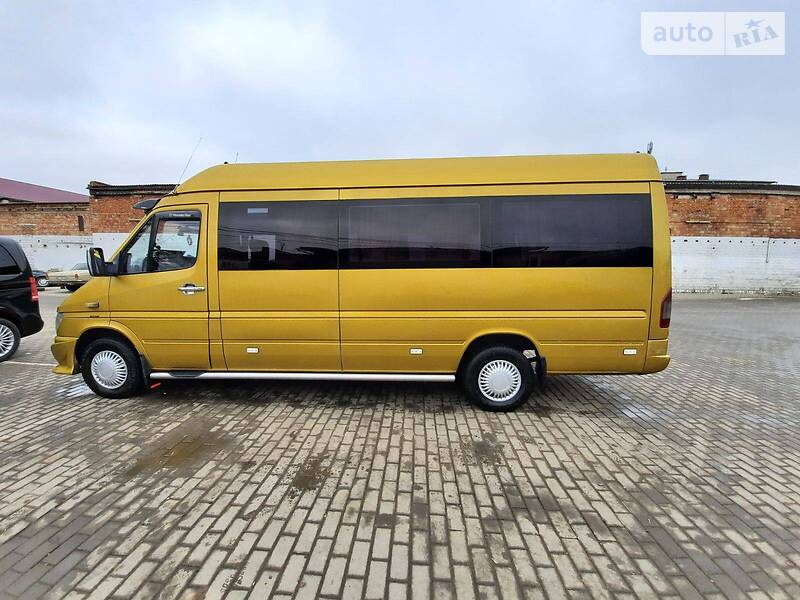 Микроавтобус Mercedes-Benz Sprinter 2002 в Сокирянах