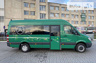 Микроавтобус Mercedes-Benz Sprinter 2009 в Луцке