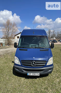 Микроавтобус Mercedes-Benz Sprinter 2010 в Житомире