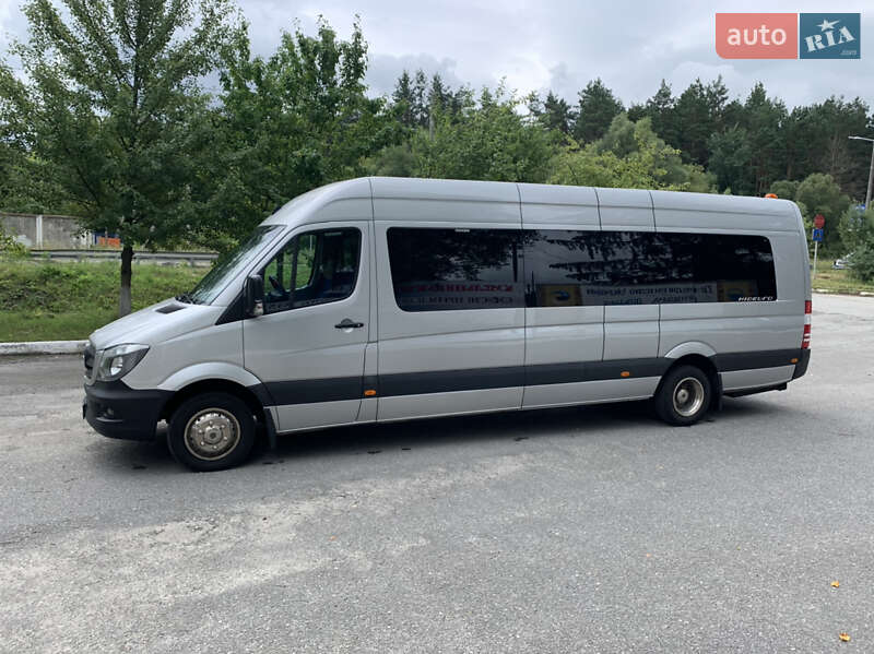 Мікроавтобус Mercedes-Benz Sprinter 2014 в Шепетівці