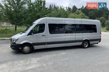 Мікроавтобус Mercedes-Benz Sprinter 2014 в Шепетівці