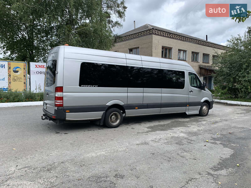 Мікроавтобус Mercedes-Benz Sprinter 2014 в Шепетівці