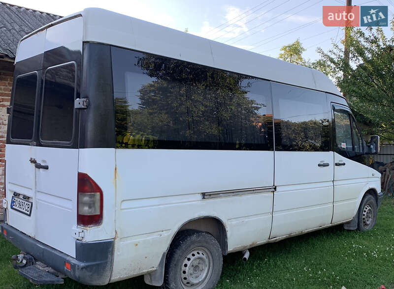 Микроавтобус Mercedes-Benz Sprinter 1995 в Бережанах