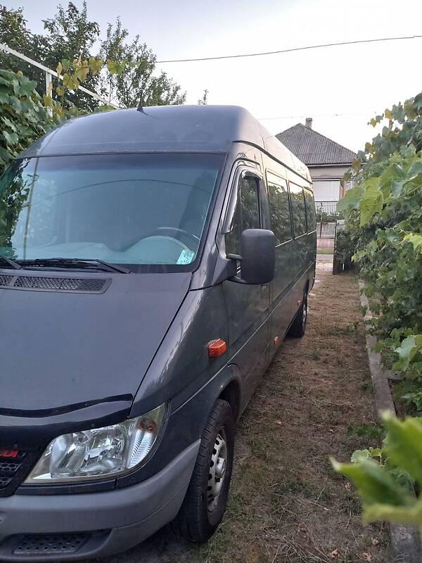 Микроавтобус Mercedes-Benz Sprinter 2005 в Берегово