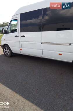 Микроавтобус Mercedes-Benz Sprinter 2000 в Хусте