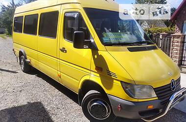 Микроавтобус Mercedes-Benz Sprinter 2003 в Рожнятове