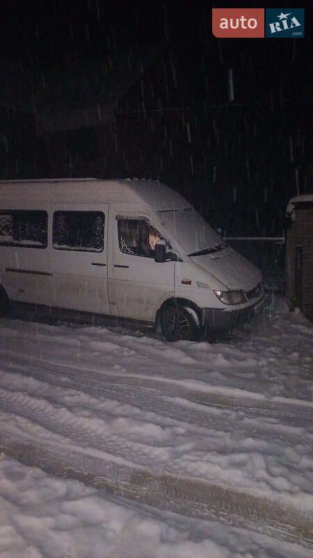 Мікроавтобус Mercedes-Benz Sprinter 2005 в Тячеві