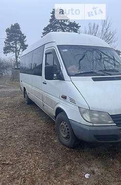 Микроавтобус Mercedes-Benz Sprinter 2002 в Днепре