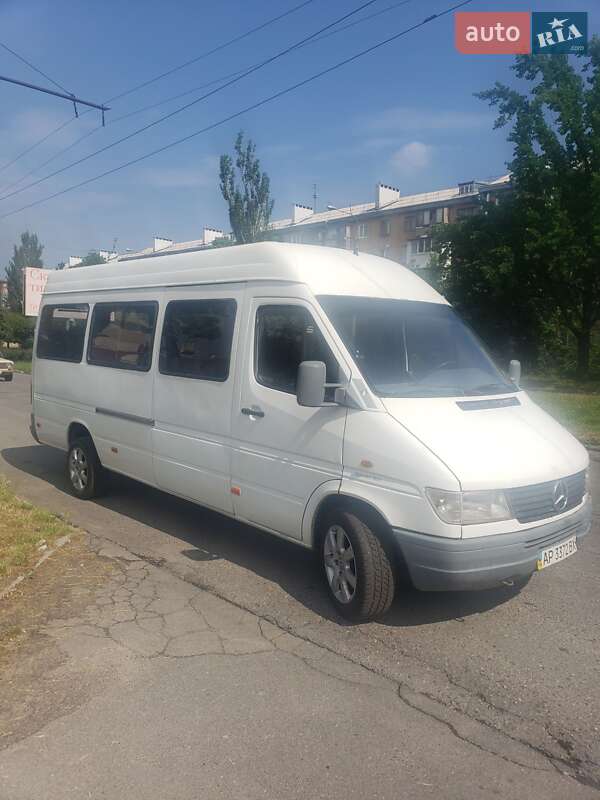 Микроавтобус Mercedes-Benz Sprinter 1997 в Запорожье