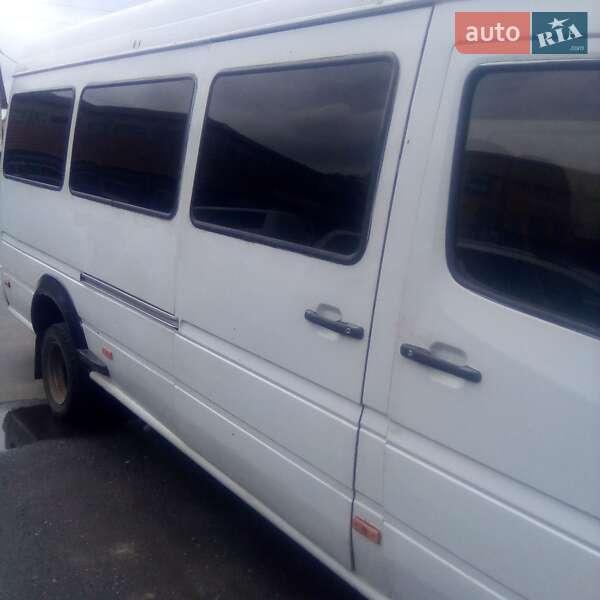 Мікроавтобус Mercedes-Benz Sprinter 1996 в Коломиї