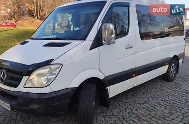 Микроавтобус Mercedes-Benz Sprinter 2008 в 