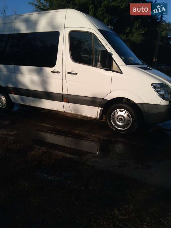 Інші автобуси Mercedes-Benz Sprinter 2008 в Кривому Розі