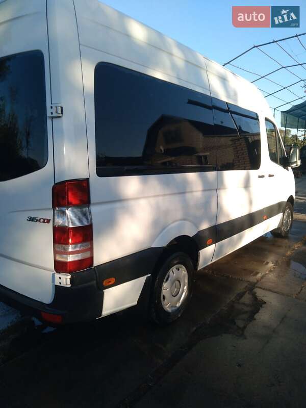 Інші автобуси Mercedes-Benz Sprinter 2008 в Кривому Розі