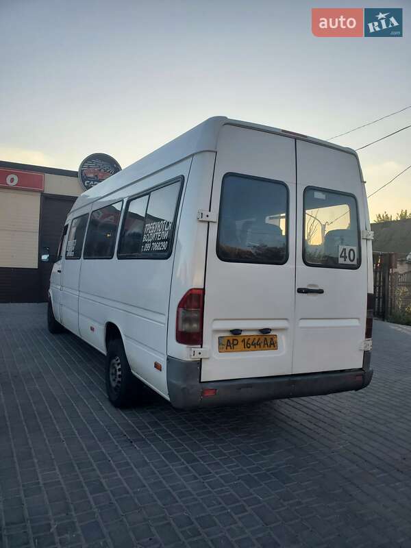Микроавтобус Mercedes-Benz Sprinter 1999 в Запорожье