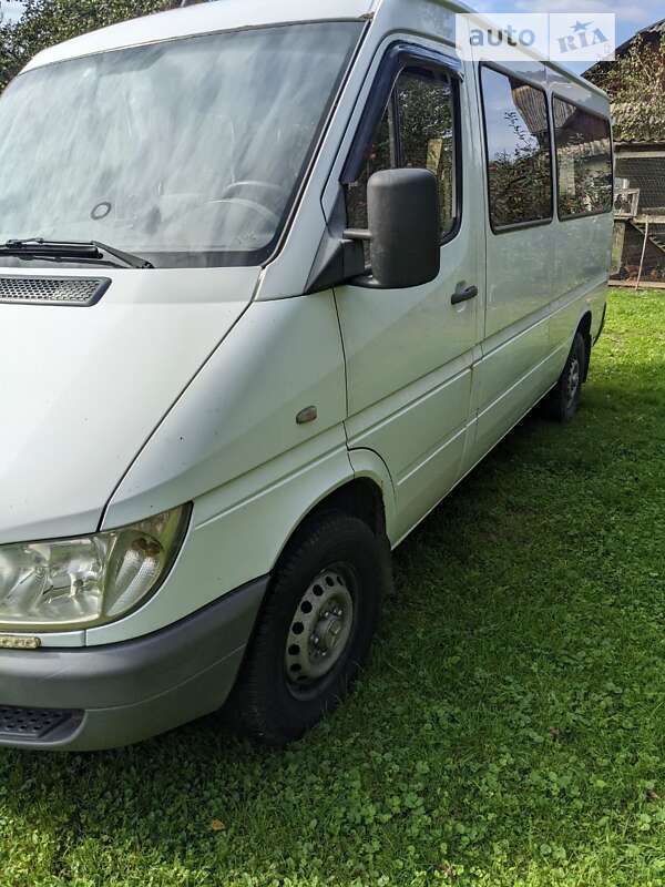 Грузопассажирский фургон Mercedes-Benz Sprinter 2006 в Богородчанах