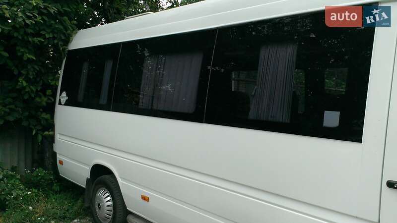Городской автобус Mercedes-Benz Sprinter 2002 в Днепре