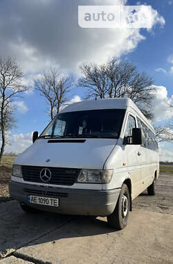 Микроавтобус Mercedes-Benz Sprinter 1998 в Днепре