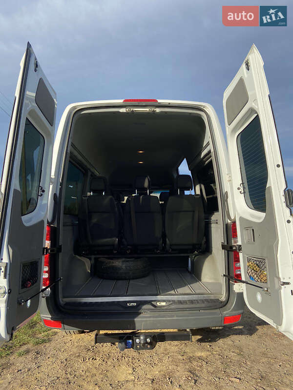 Микроавтобус Mercedes-Benz Sprinter 2015 в Коломые