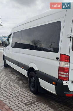 Мікроавтобус Mercedes-Benz Sprinter 2017 в Нововолинську