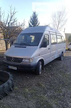 Микроавтобус Mercedes-Benz Sprinter 1999 в Днепре