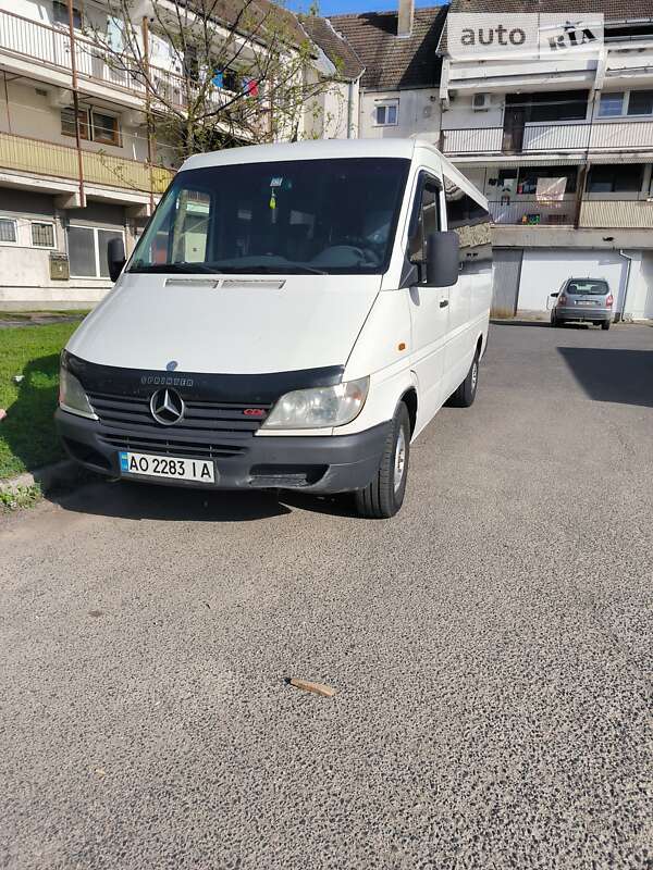 Мікроавтобус Mercedes-Benz Sprinter 2002 в Виноградові