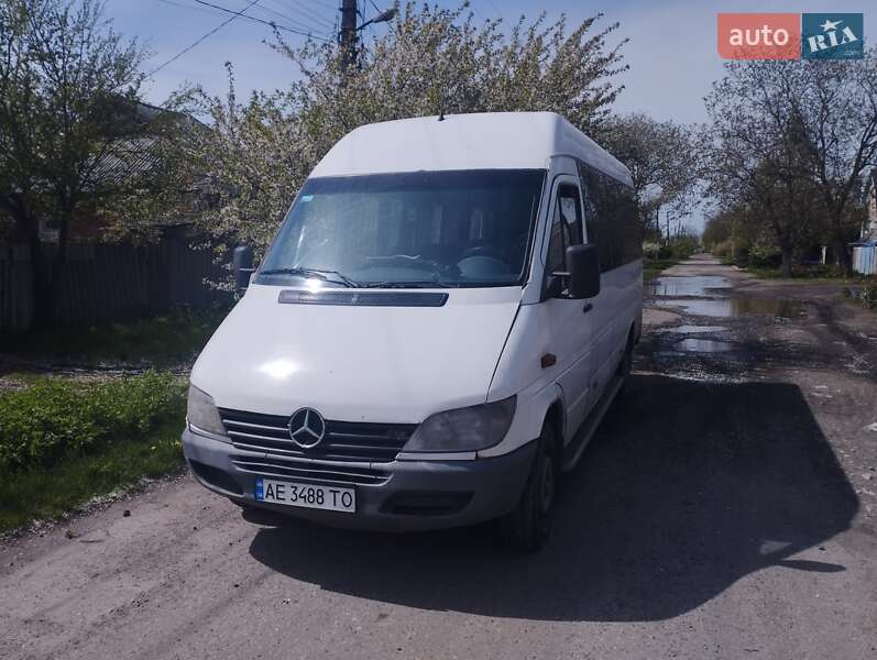 Мікроавтобус Mercedes-Benz Sprinter 2002 в Покровську