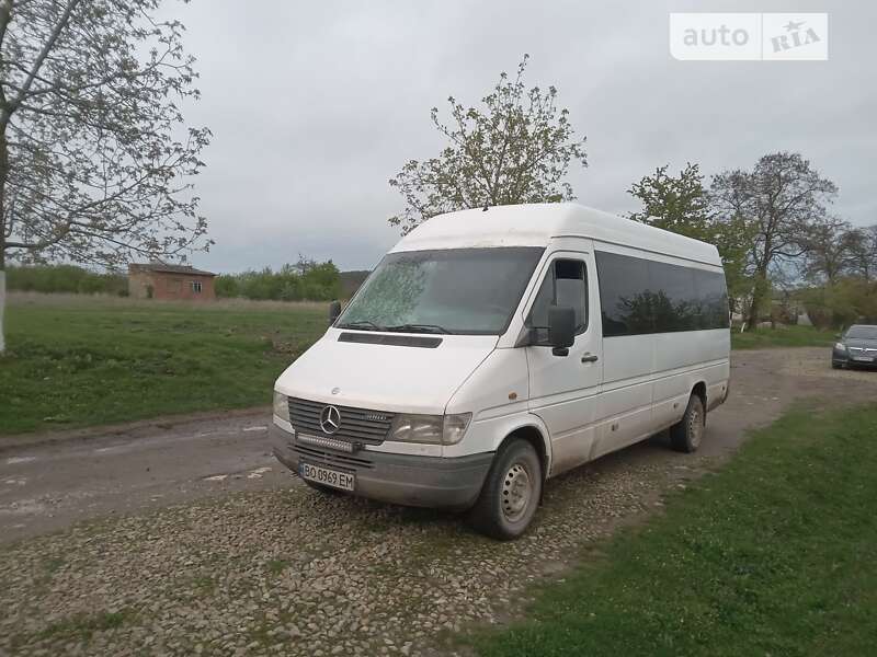 Микроавтобус Mercedes-Benz Sprinter 1997 в Бучаче