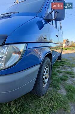 Микроавтобус Mercedes-Benz Sprinter 2004 в Тульчине