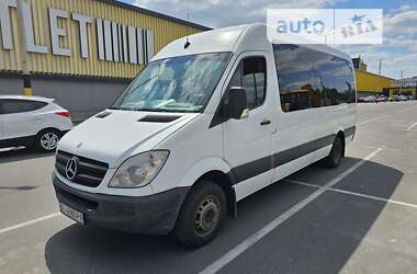 Микроавтобус Mercedes-Benz Sprinter 2009 в Киеве