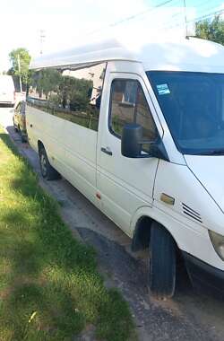 Микроавтобус Mercedes-Benz Sprinter 2003 в Николаеве