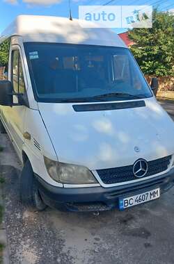 Микроавтобус Mercedes-Benz Sprinter 2003 в Николаеве