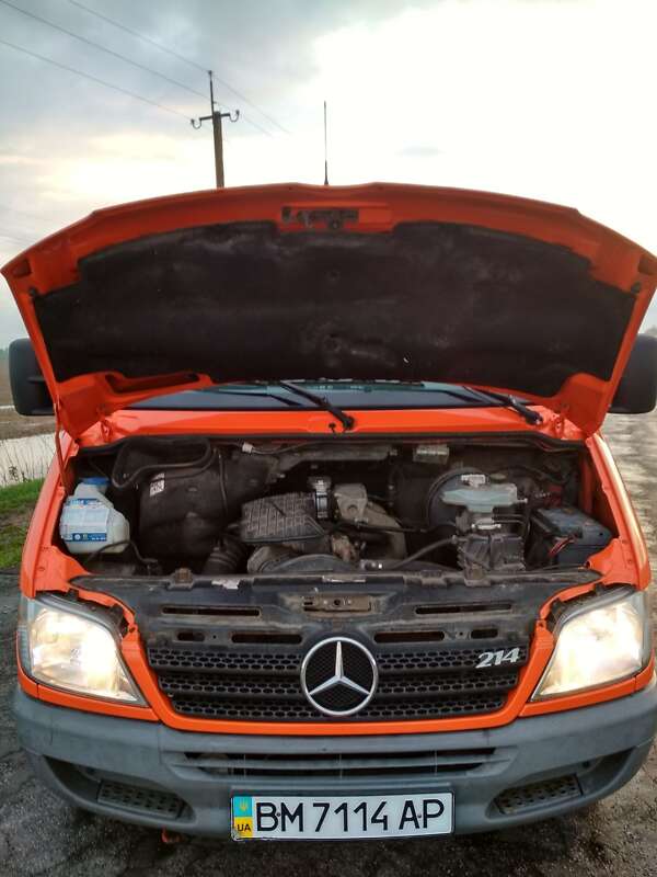 Микроавтобус Mercedes-Benz Sprinter 2004 в Киеве
