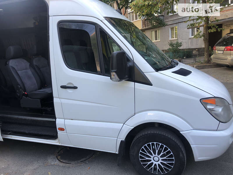 Микроавтобус Mercedes-Benz Sprinter 2009 в Днепре