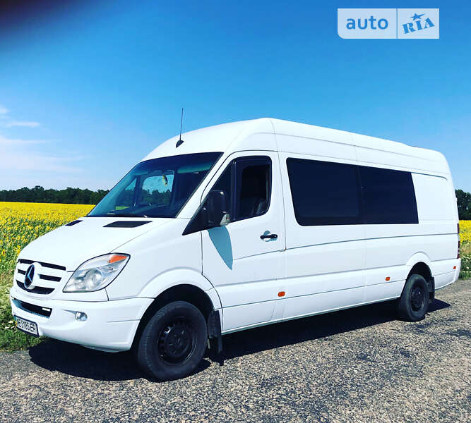 Микроавтобус Mercedes-Benz Sprinter 2009 в Днепре