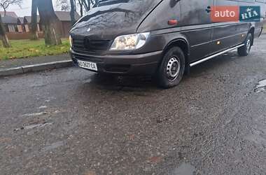 Микроавтобус Mercedes-Benz Sprinter 2004 в Ужгороде