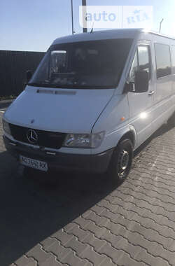 Мікроавтобус Mercedes-Benz Sprinter 1996 в Луцьку