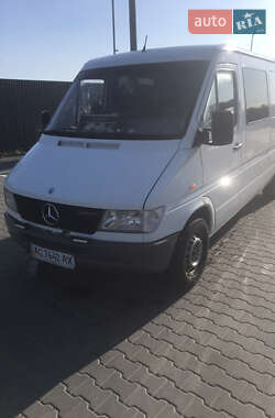 Микроавтобус Mercedes-Benz Sprinter 1996 в Луцке