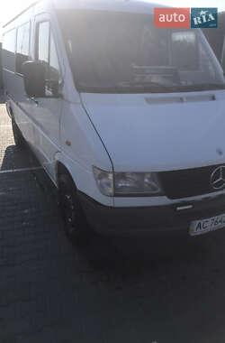 Микроавтобус Mercedes-Benz Sprinter 1996 в Луцке