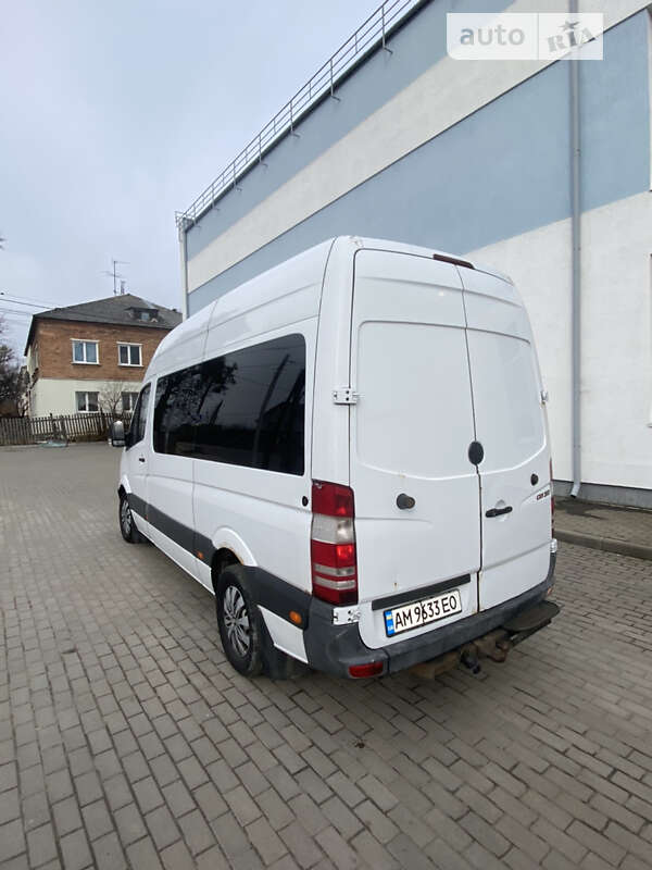Микроавтобус Mercedes-Benz Sprinter 2011 в Житомире
