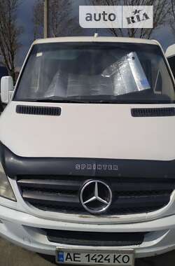 Мікроавтобус Mercedes-Benz Sprinter 2010 в Кривому Розі