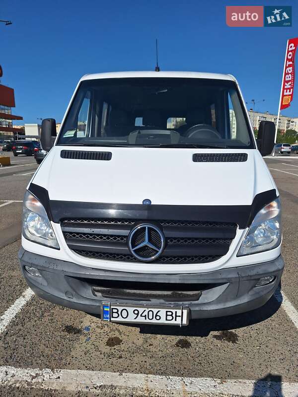 Мікроавтобус Mercedes-Benz Sprinter 2009 в Чернівцях