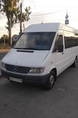 Микроавтобус Mercedes-Benz Sprinter 1999 в Запорожье