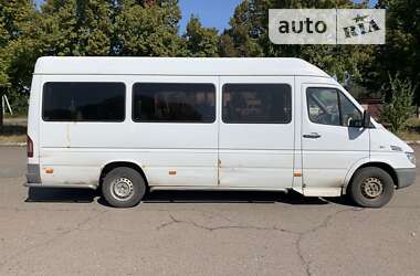 Микроавтобус Mercedes-Benz Sprinter 2006 в Чернигове