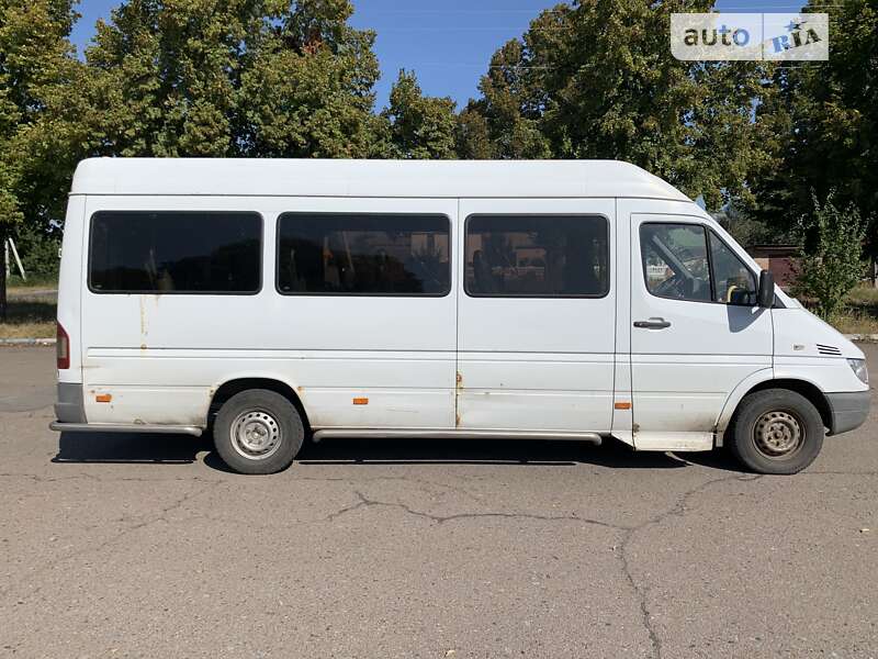 Мікроавтобус Mercedes-Benz Sprinter 2006 в Чернігові